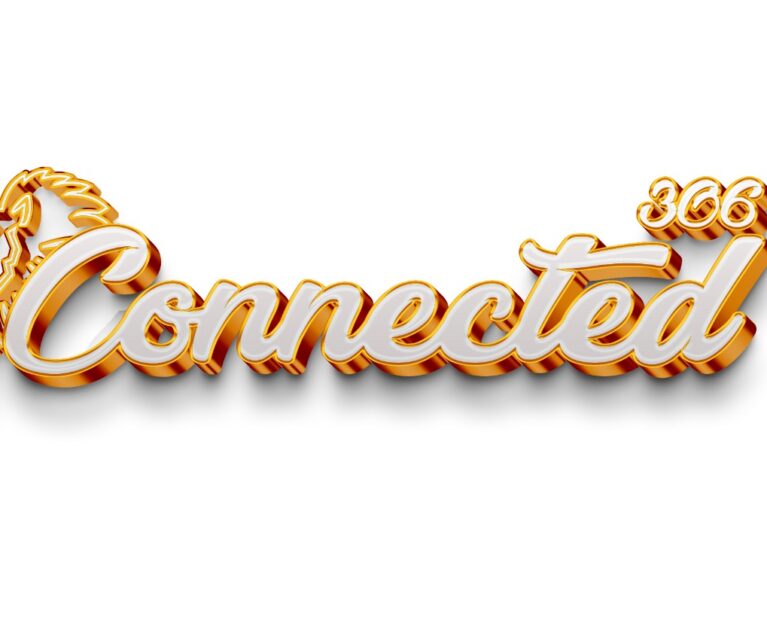 Launching Soon: 306 Connected – A Digital Revolution for Leo Clubs!