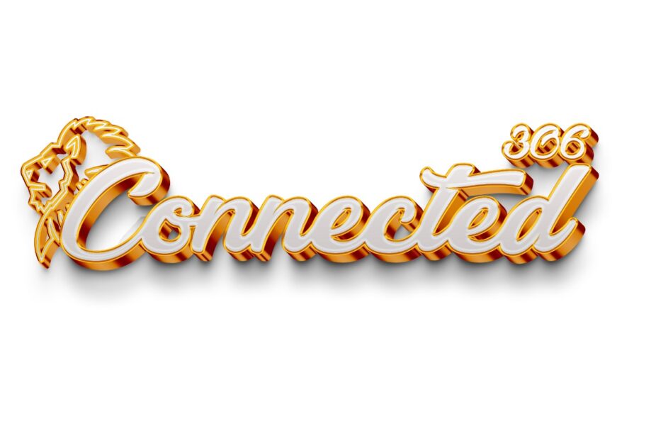 Launching Soon: 306 Connected – A Digital Revolution for Leo Clubs!