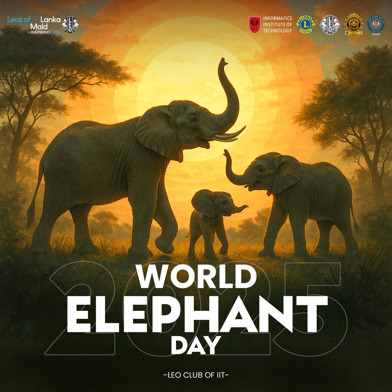 International Elephant Day – Protecting Giants of the Earth