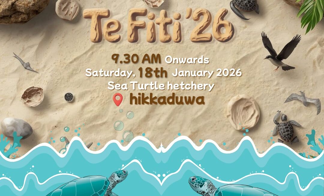 Te Fiti '26 - Phase 01